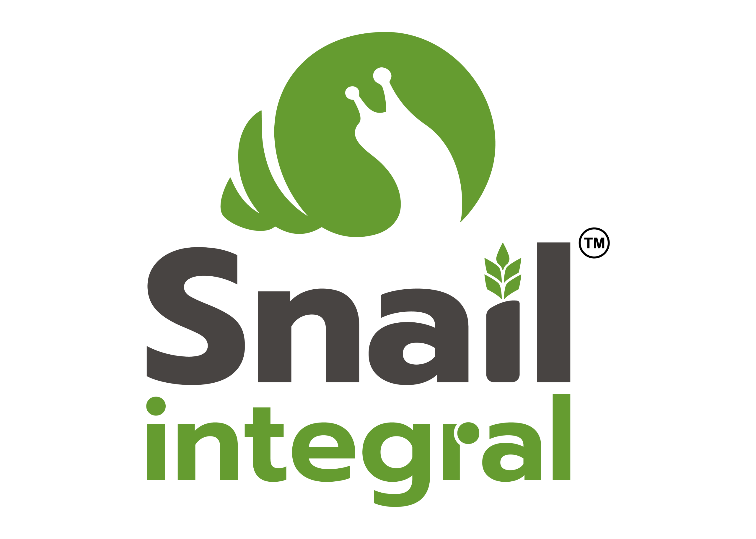 Snail Integral