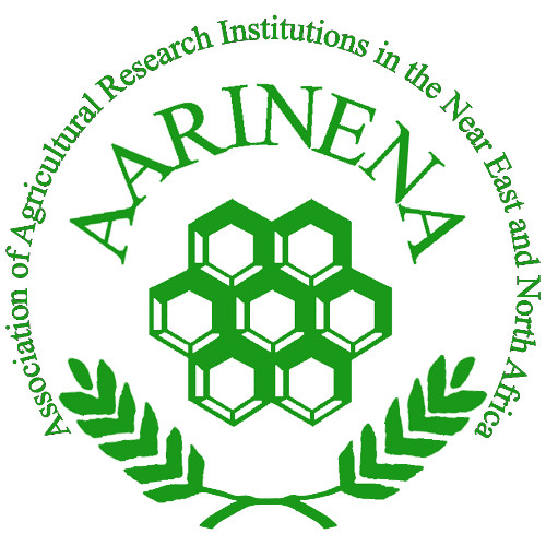 Aarinena